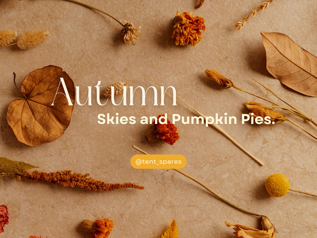 Autumn skies and pumpkin pies