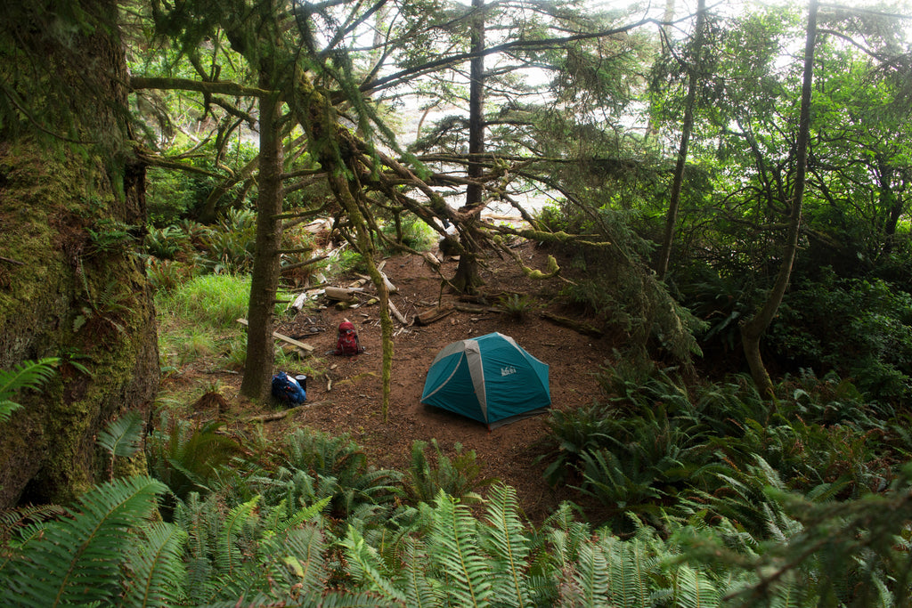 Camping in the forest in solitude