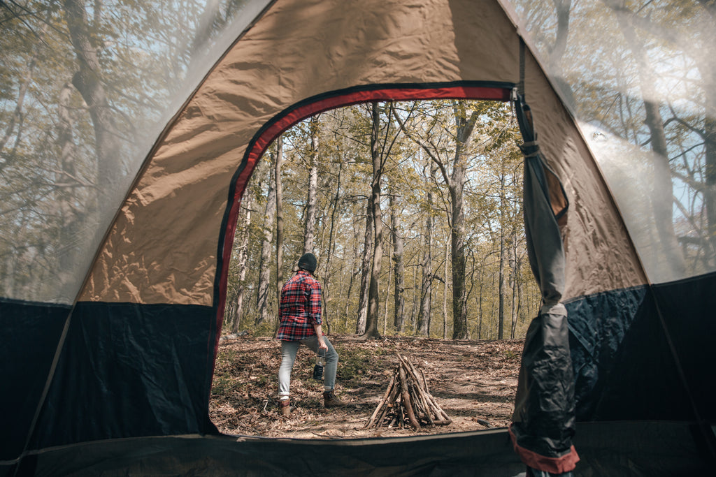 View of a forest from inside a tent